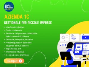 Gestionale ERP azienda 1c